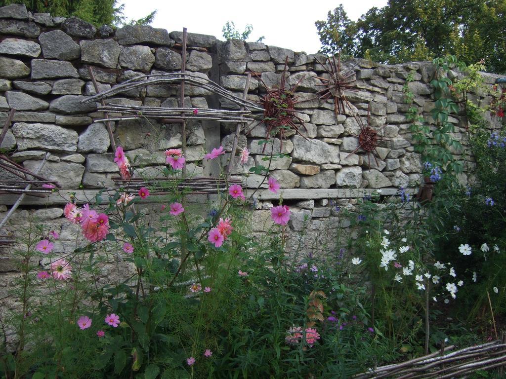 Le Vieux Velo Bed and Breakfast Chaptuzat Buitenkant foto